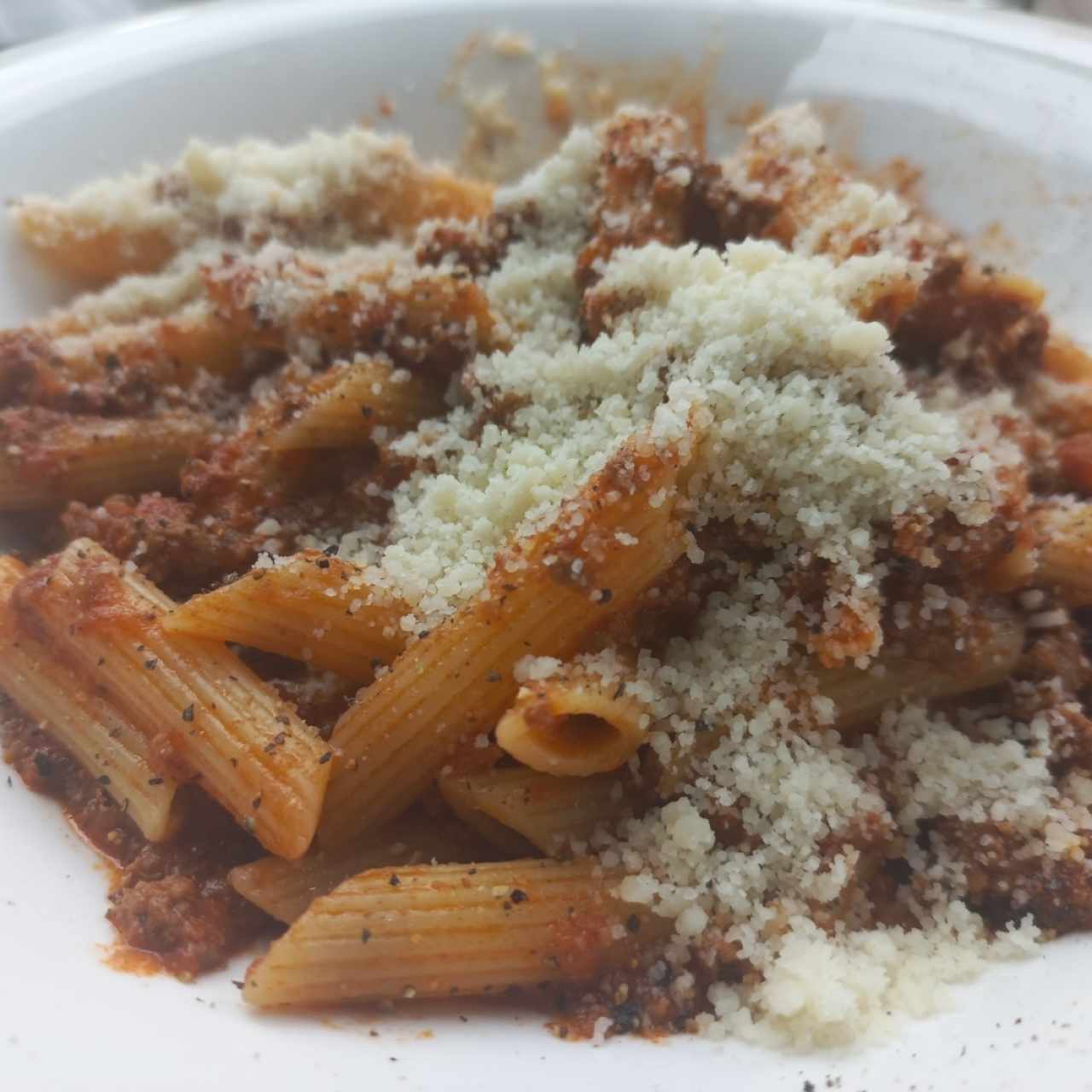 pasta boloña