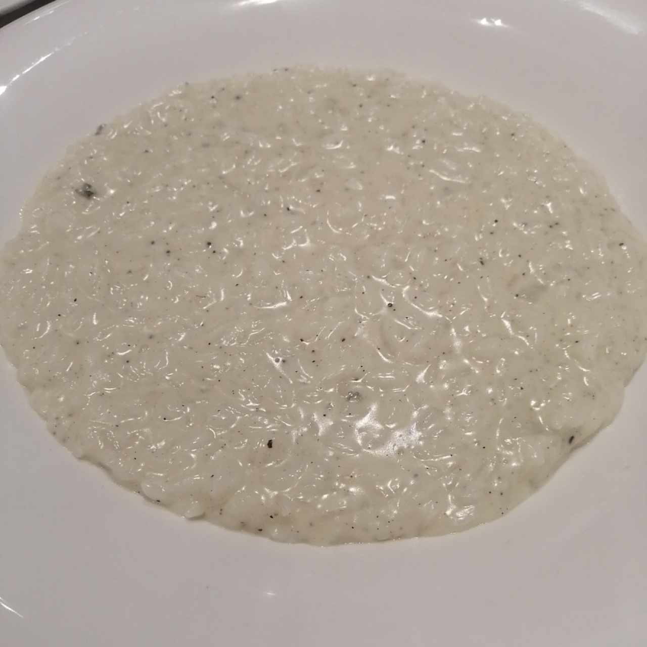 Risotto - Risotto Quattro Formaggi