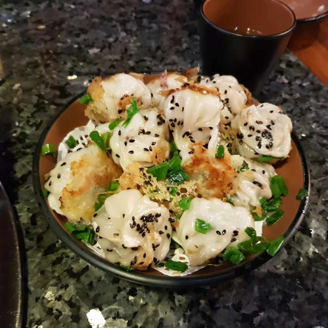 pan fried dumpling