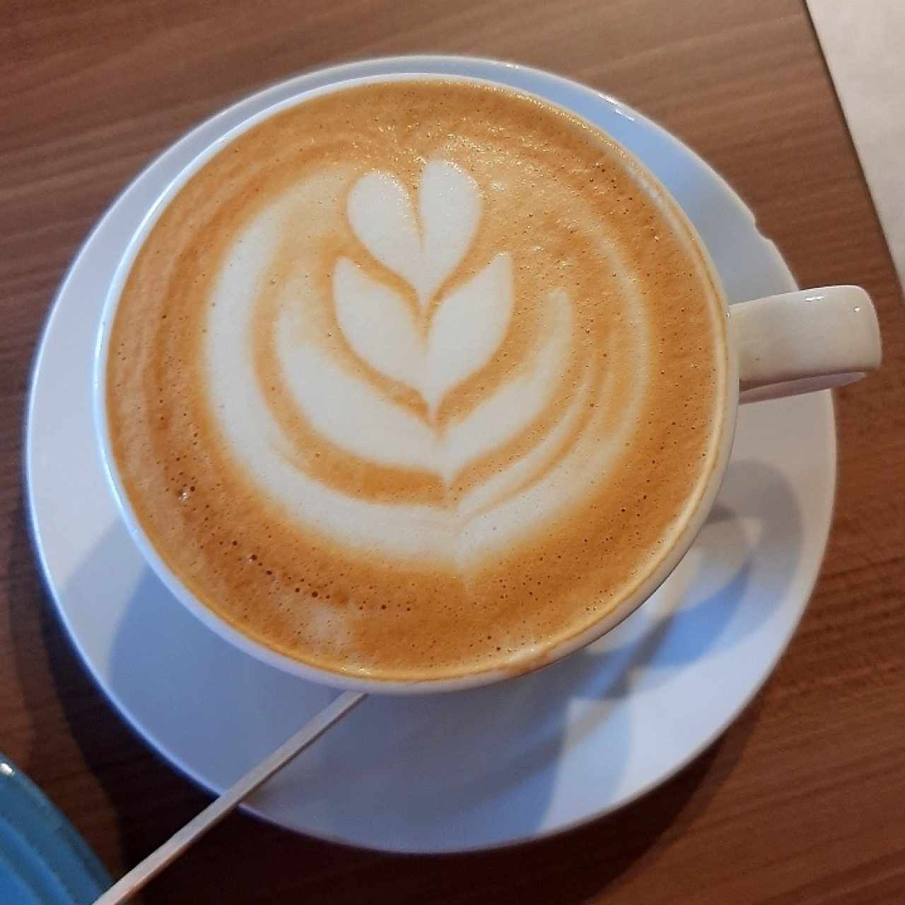 Capuccino