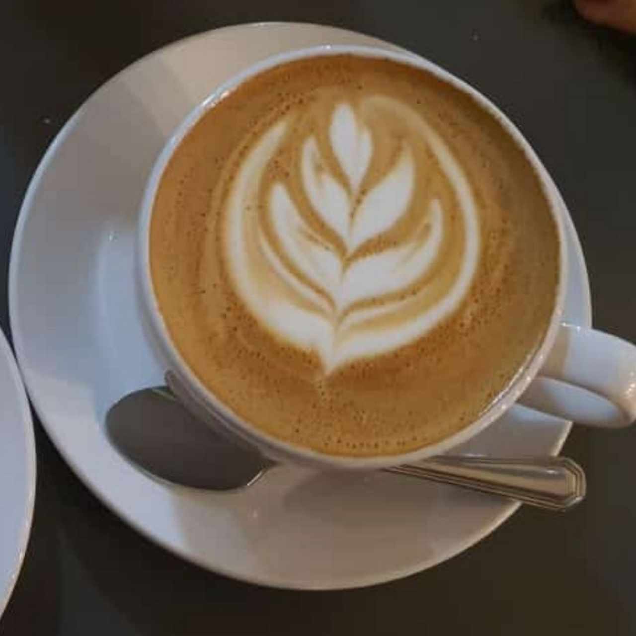 capuccino