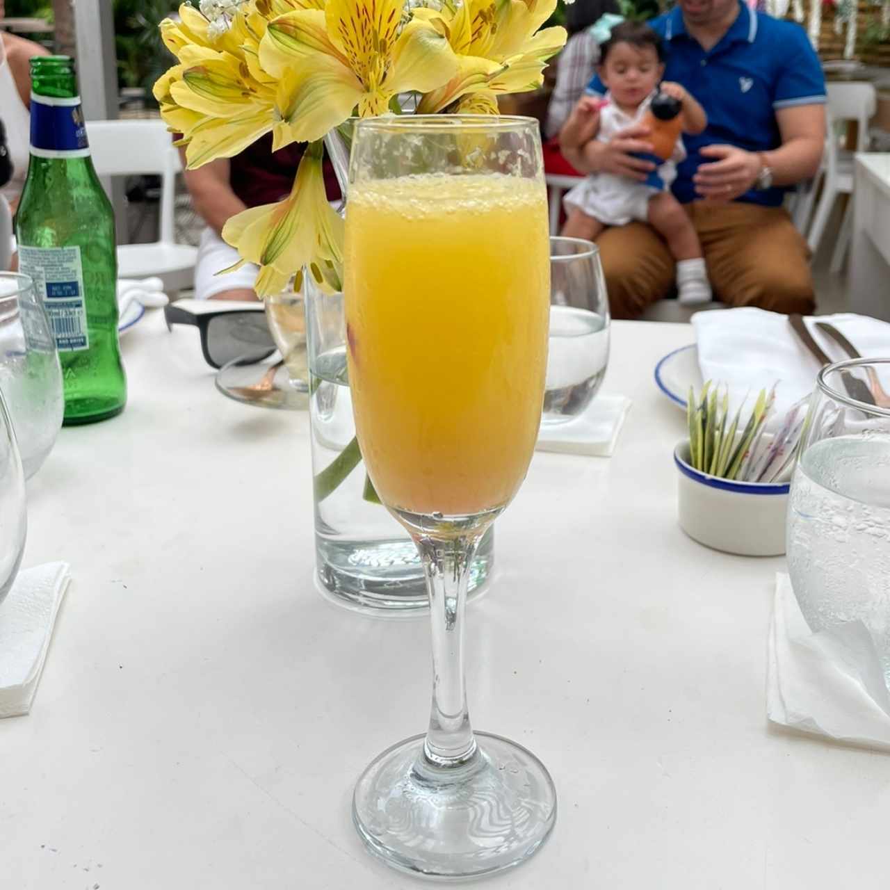 Mimosa