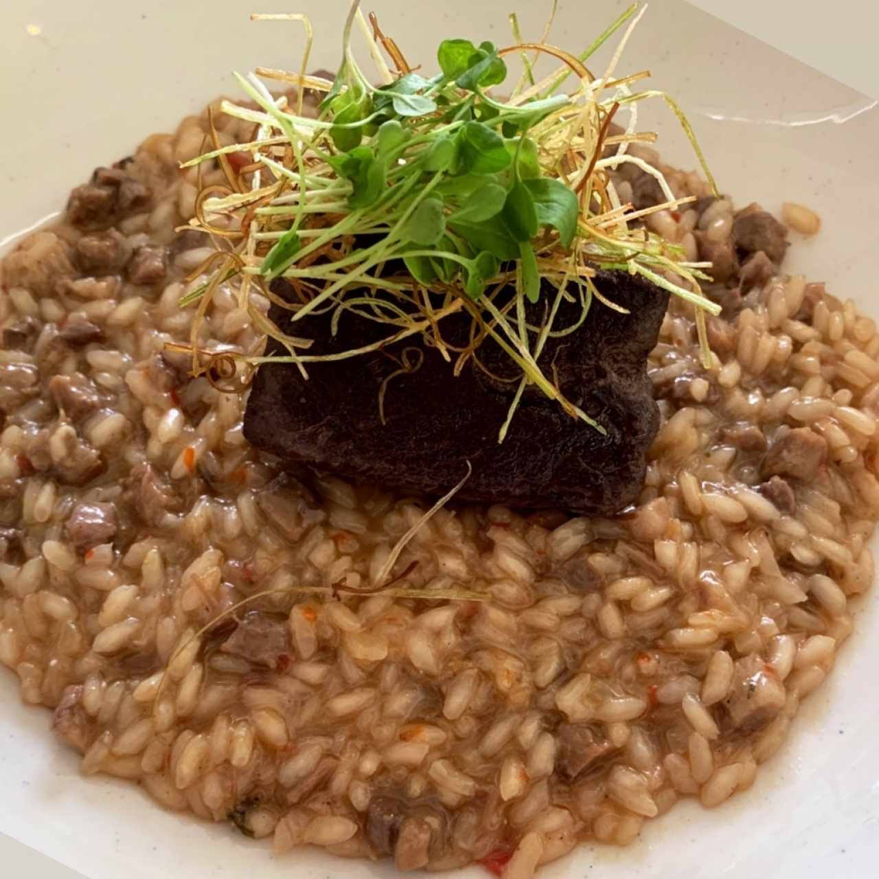 Short Rib Risotto 