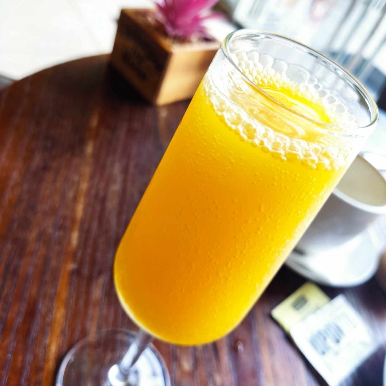 Mimosa de cortesía 