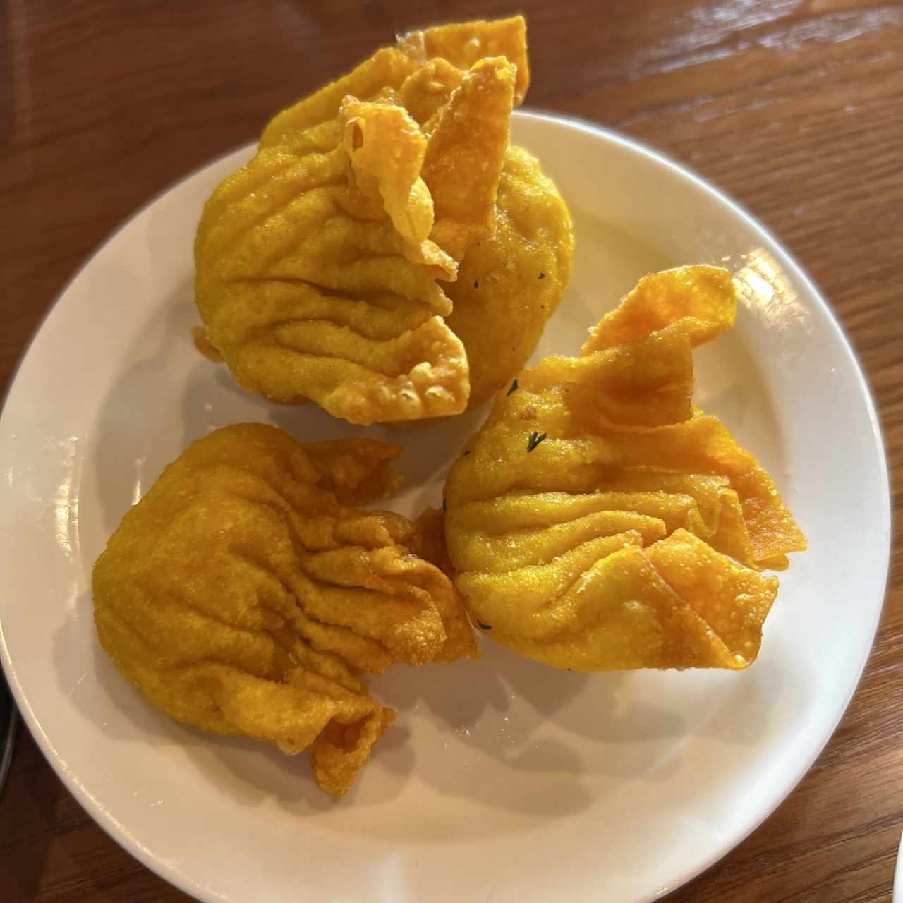 Desayuno Dimsum - Wanton Frito