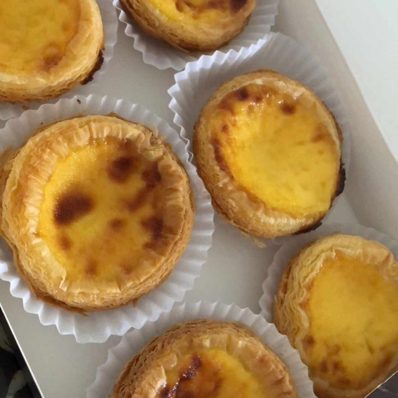 Egg Tart x 6