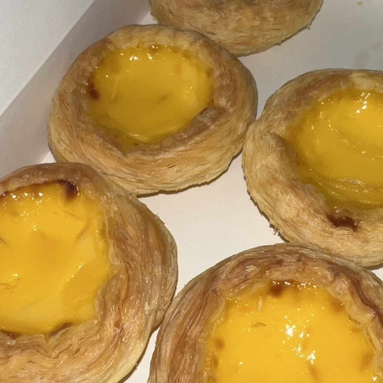 Egg Tart Custard