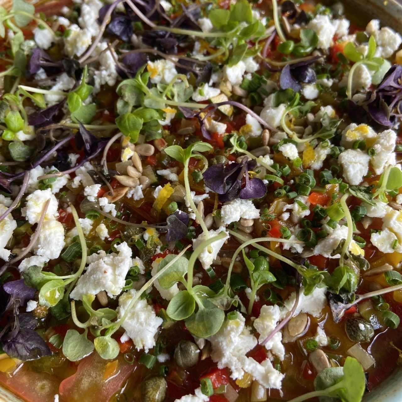 Ensalada de Queso Cabra Gratinado Sobre Pan De Carbón