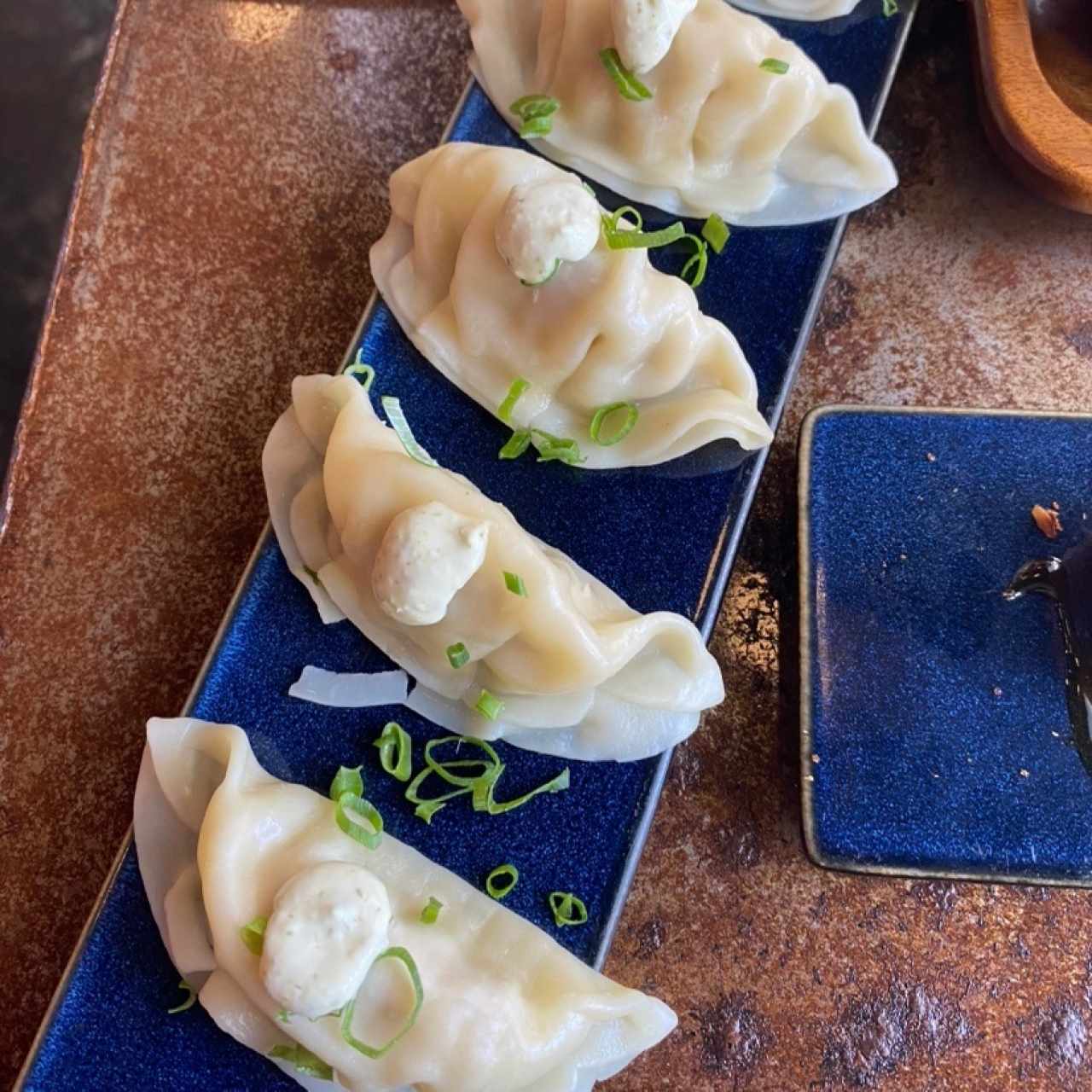 Gyozas de Pollo o Cerdo y Vegetales