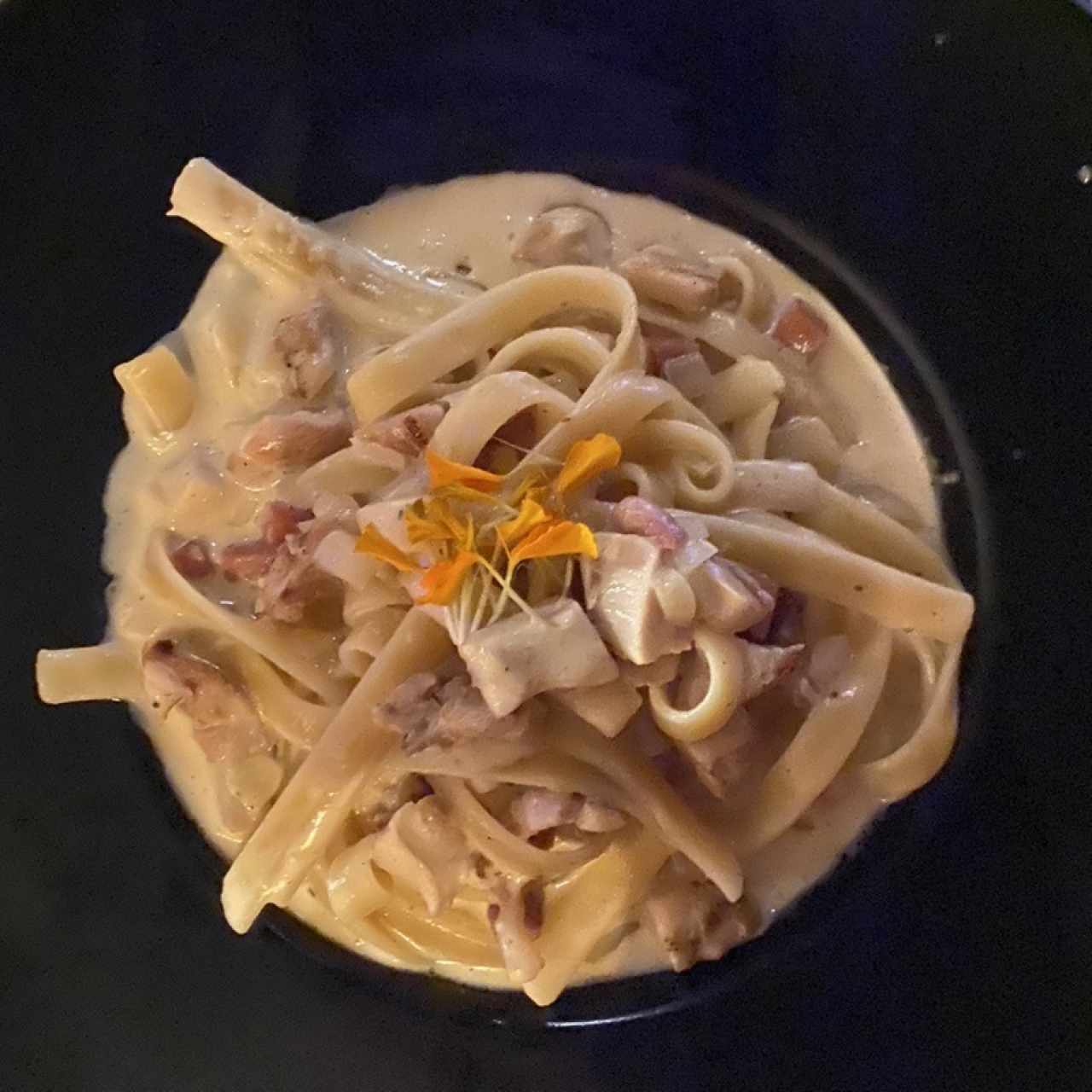 Fetuccini