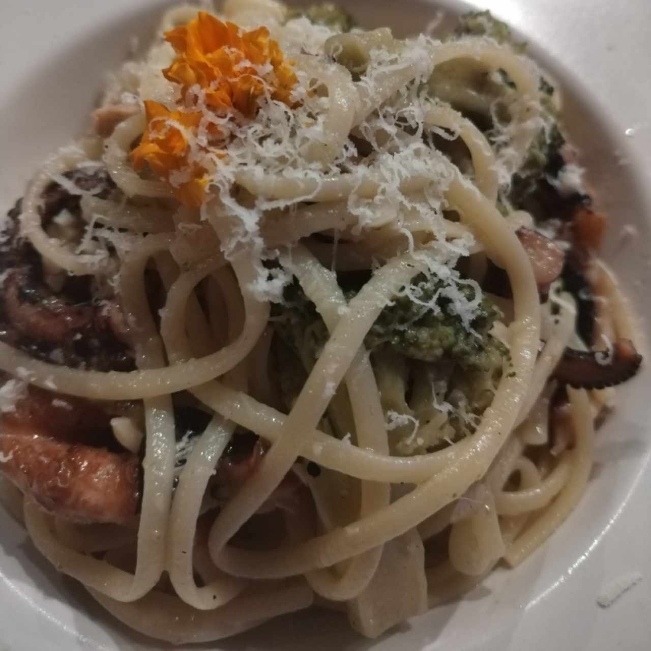 Pasta con pulpo y brócoli