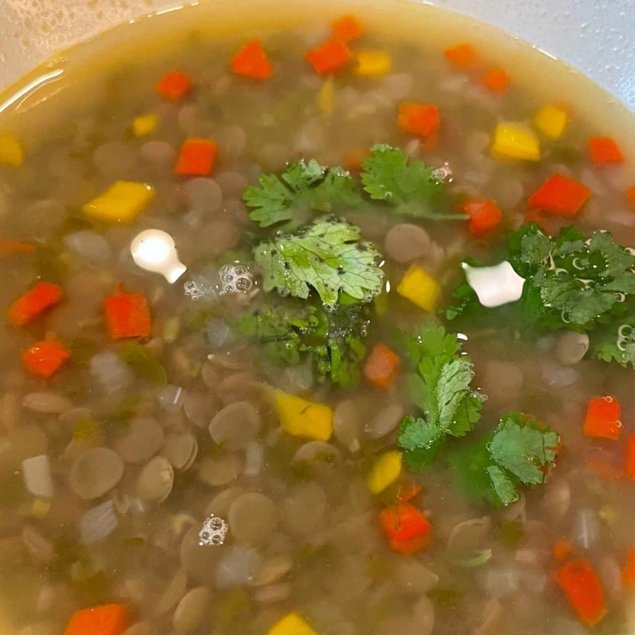 sopa de lenteja