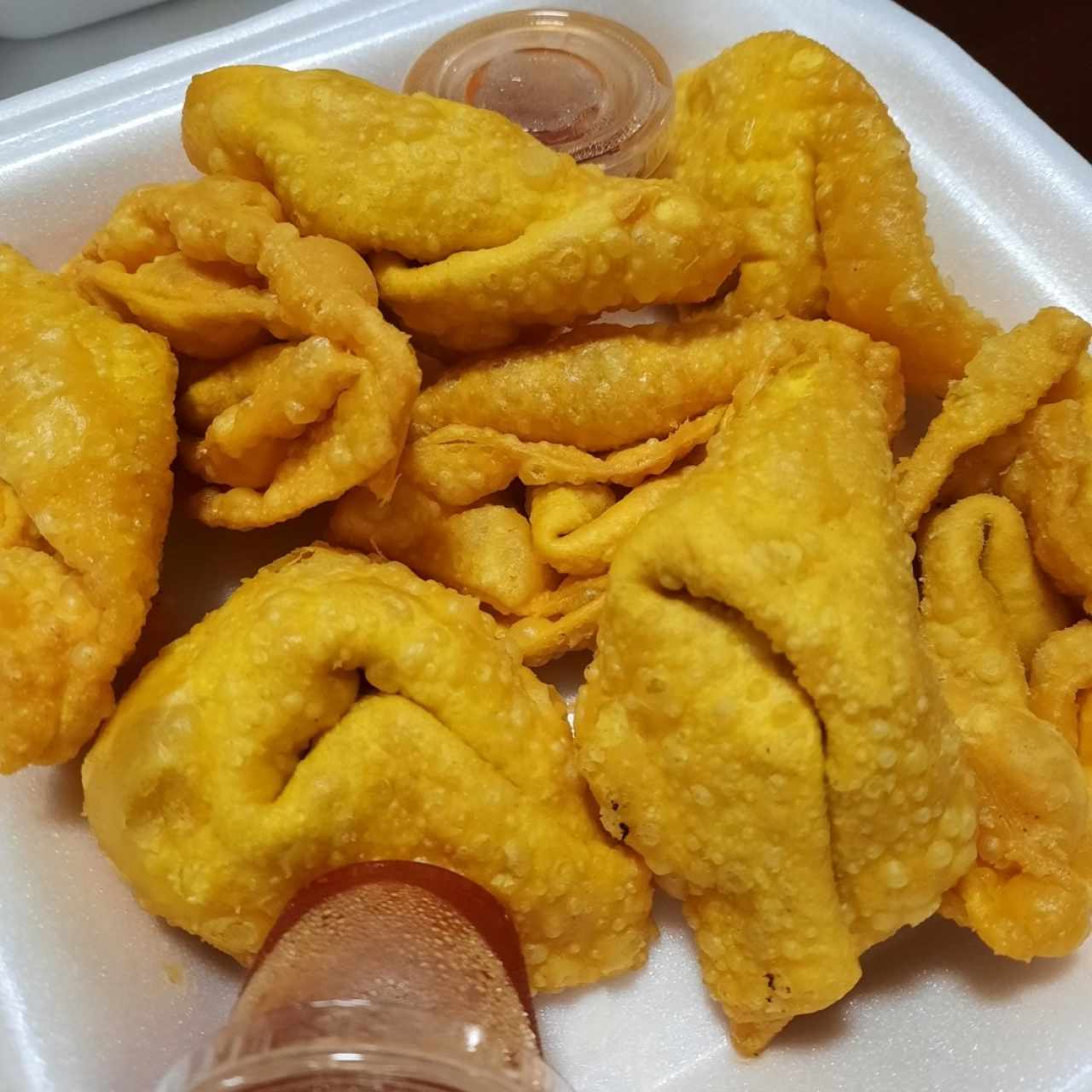 Wanton Frito de Puerco