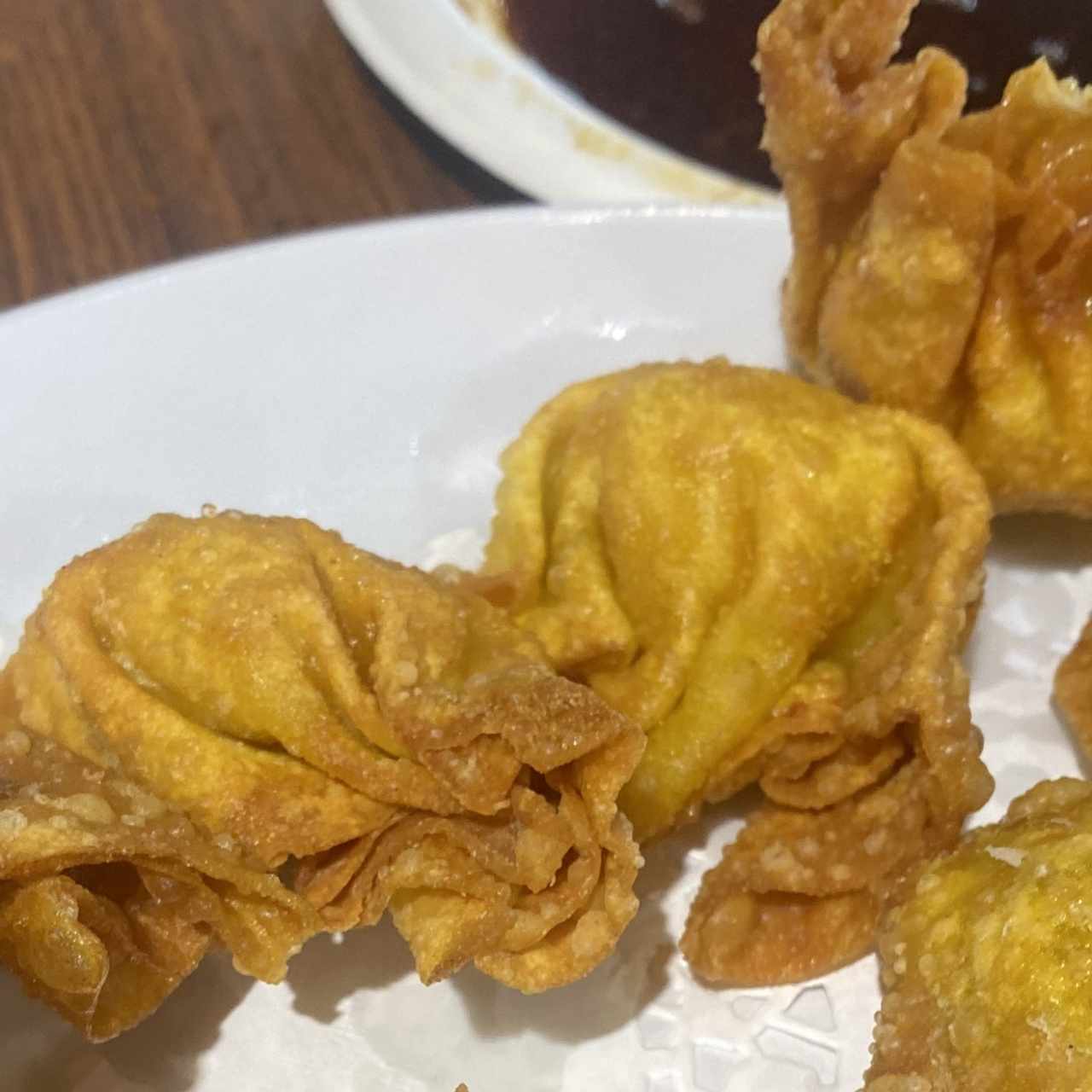 Wanton Frito de Puerco (8 unidades)