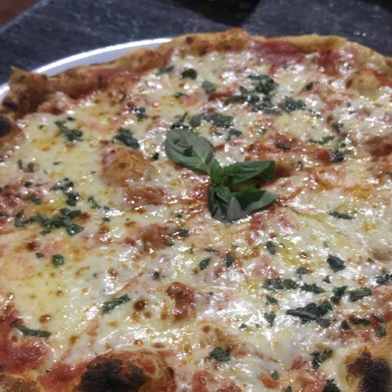 Pizza margherita