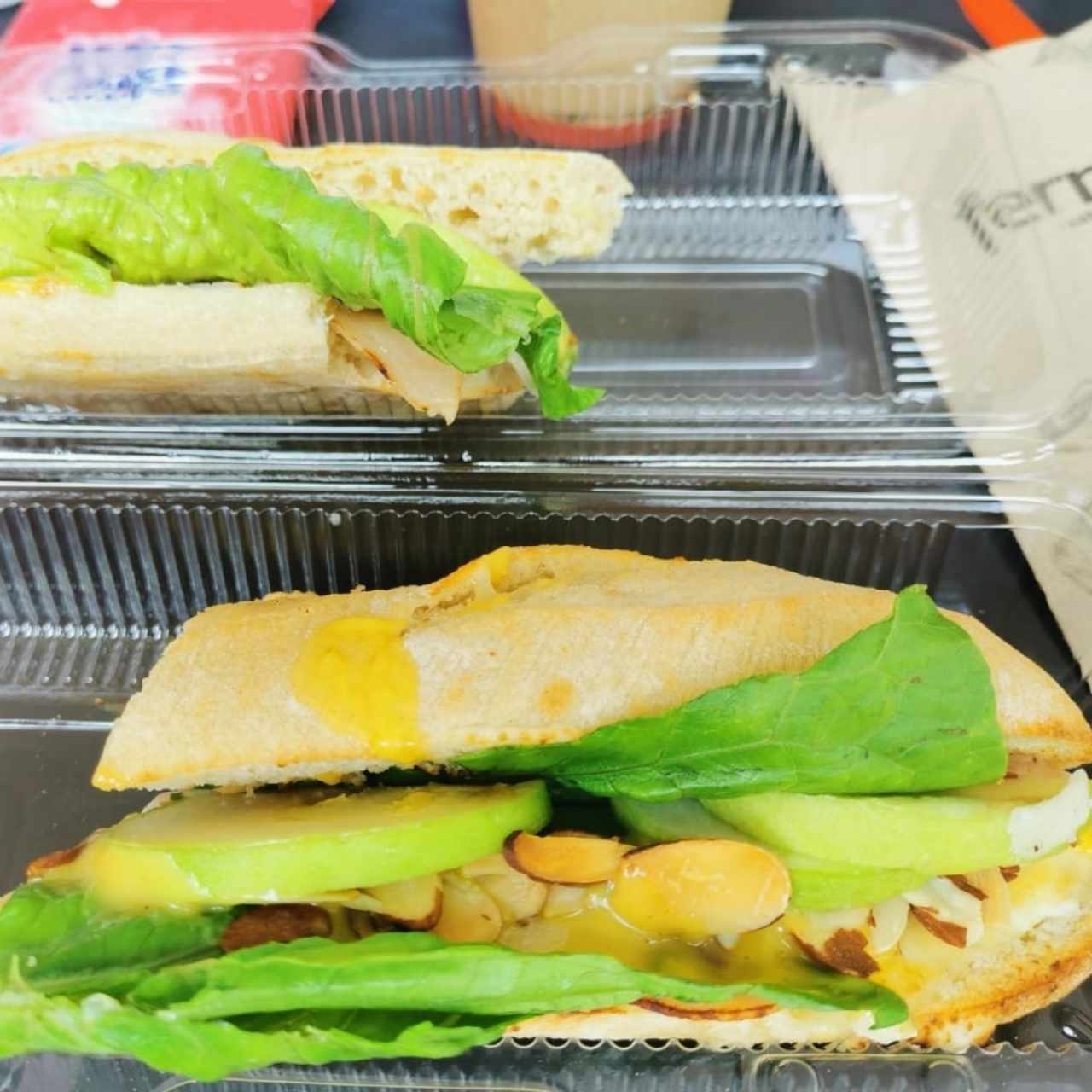 Paninis Ferreti