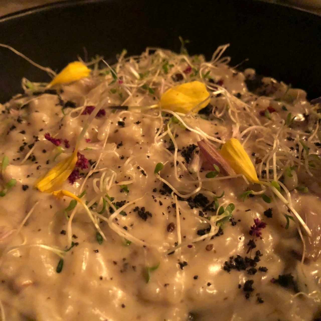 PLATOS FUERTES - RISOTTO DE CHAMPIÑONES