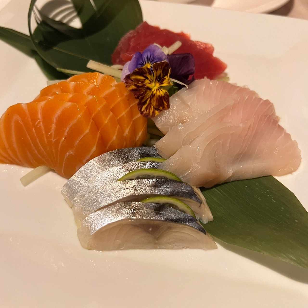 Sashimi 