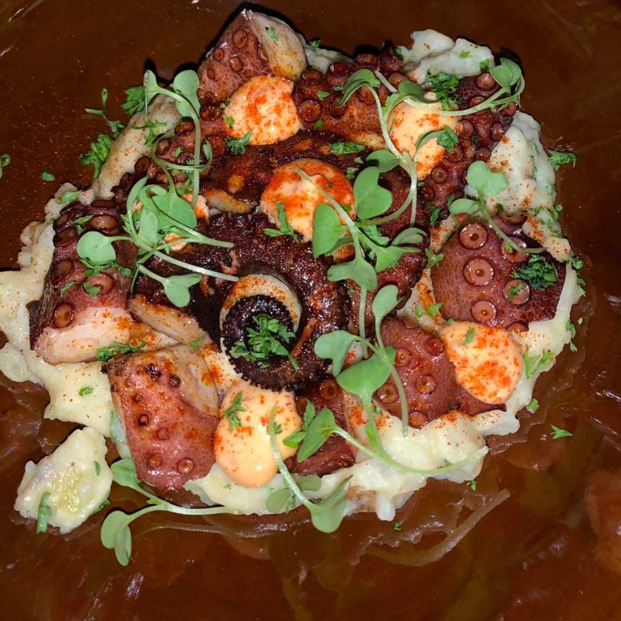 Pulpo Pirata