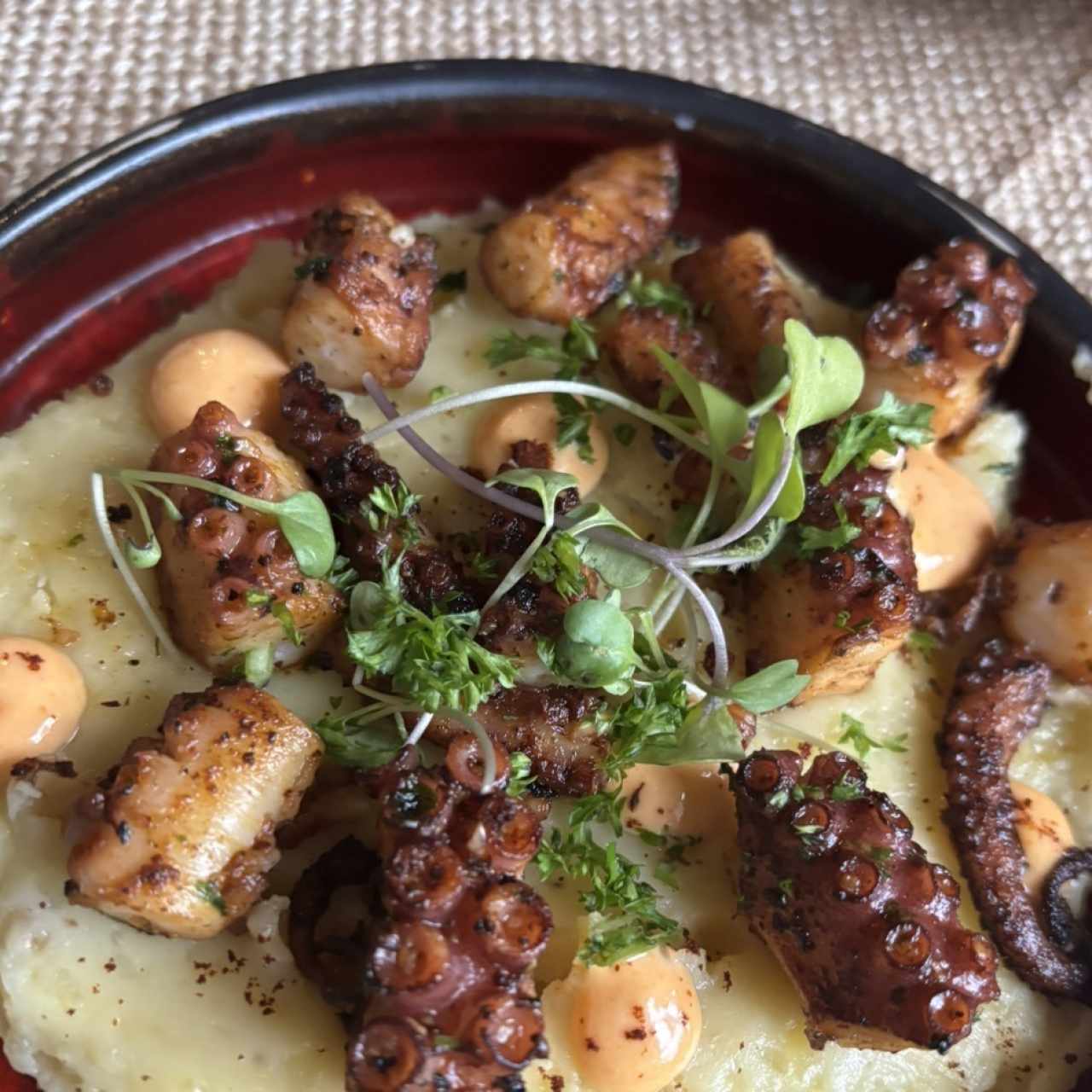 Pulpo