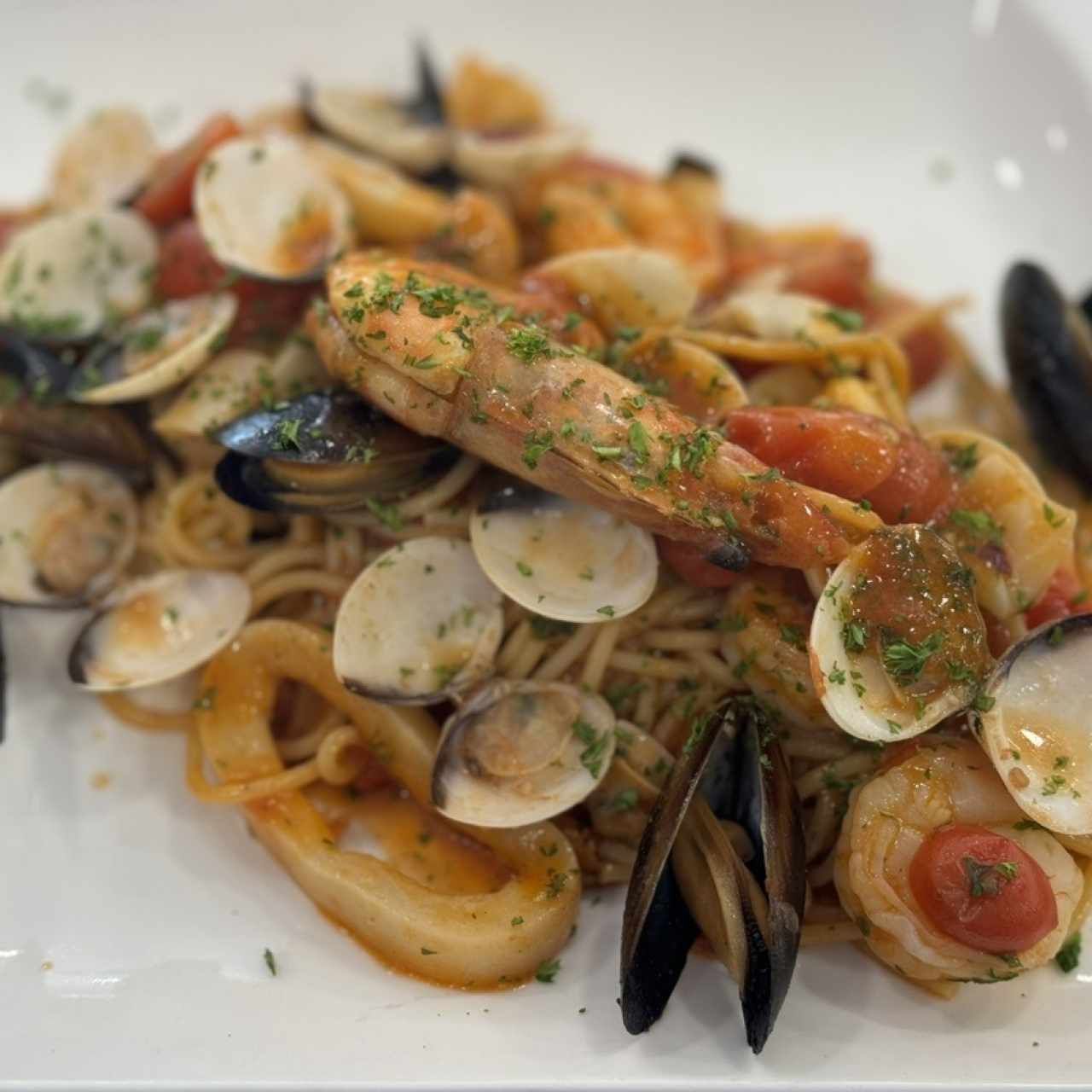 Primi Piatti - SPAGHETTI ALLO SCOGLIO