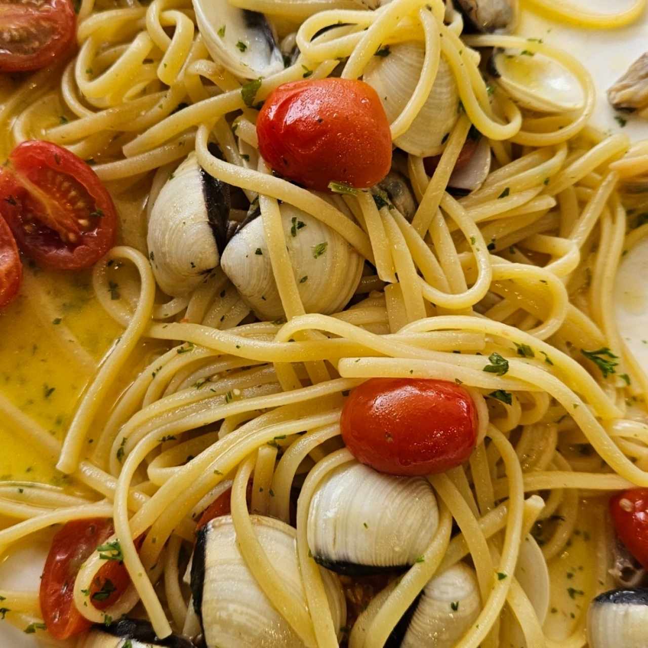 linguini a la vongole