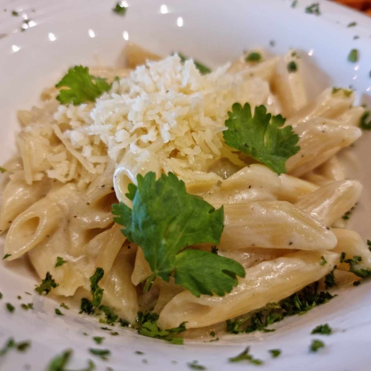 Hércules - Fetuccini ó Penne de 4 Quesos