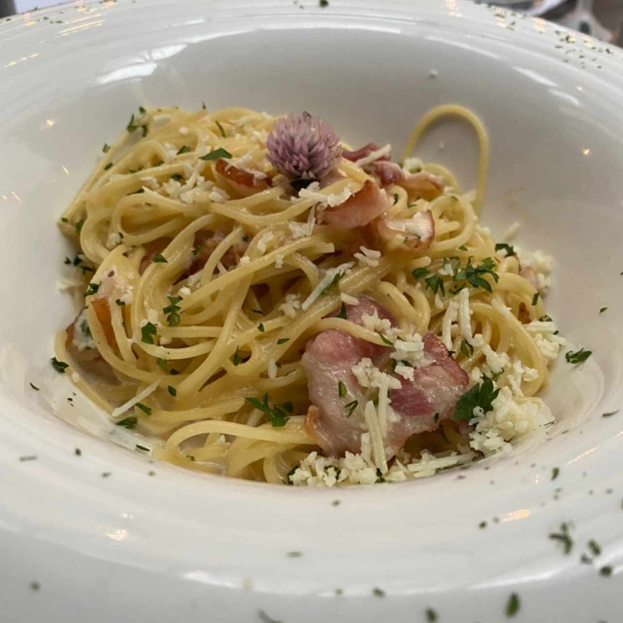 Arpia - Pasta Carbonara