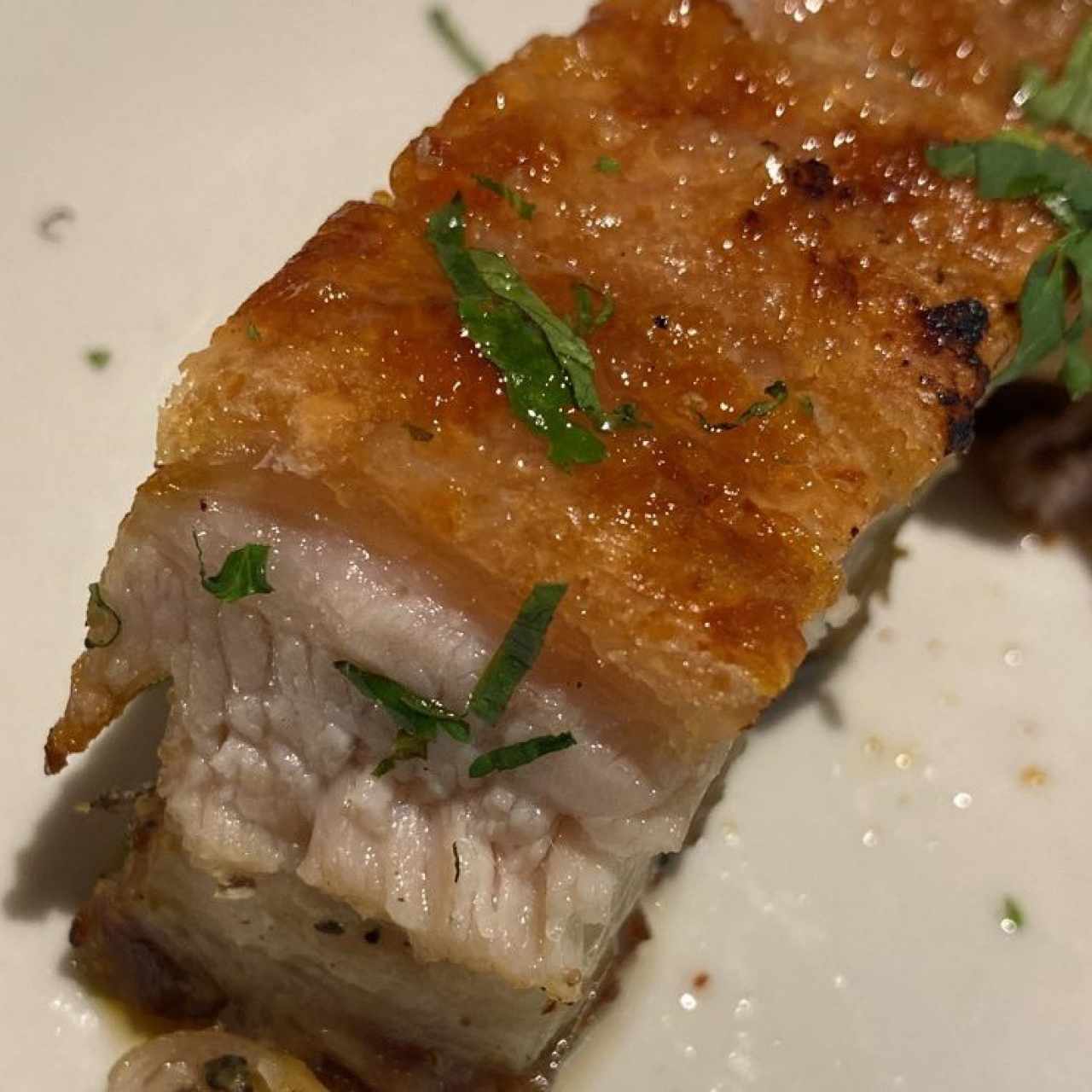 crunchy pork belly 