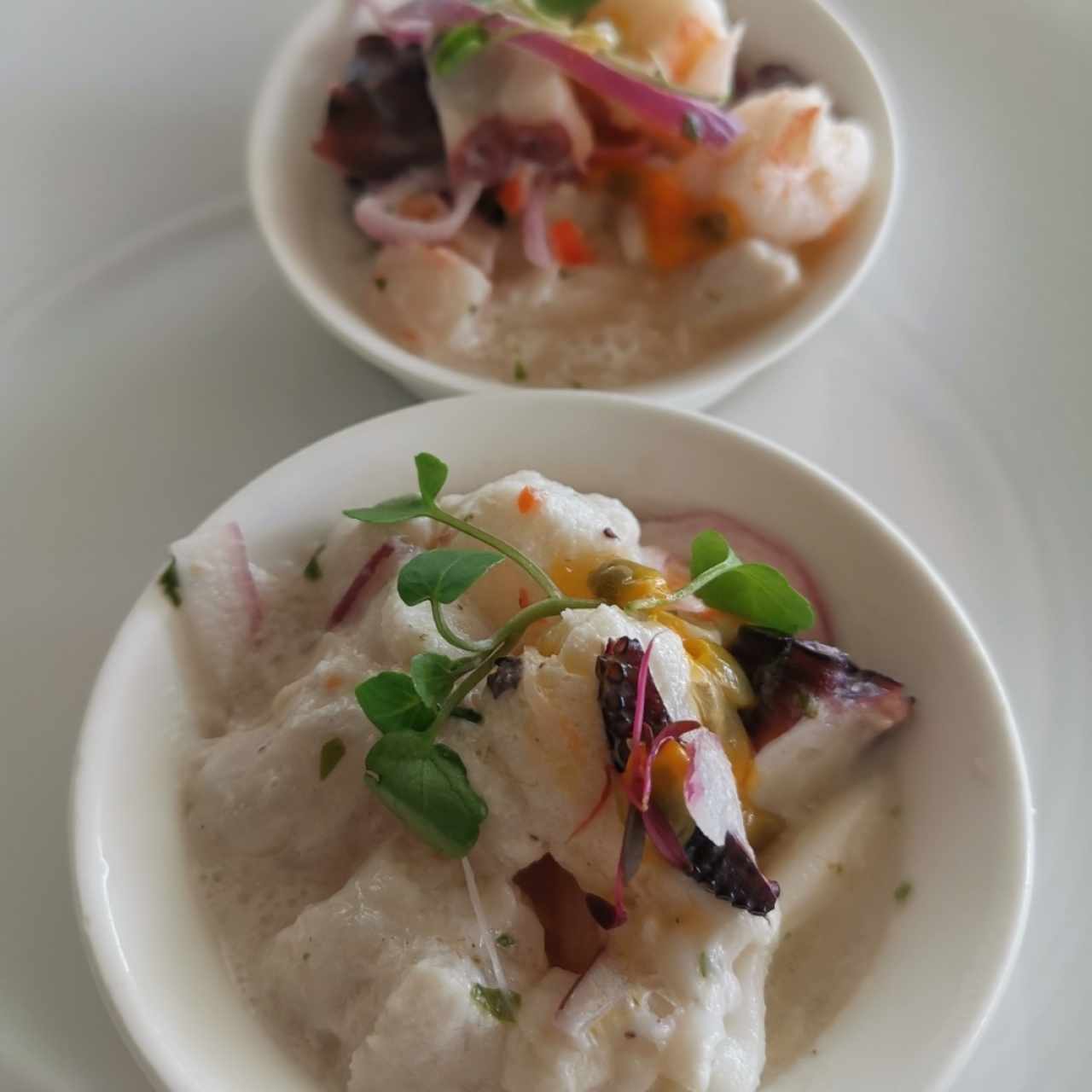 Ceviche