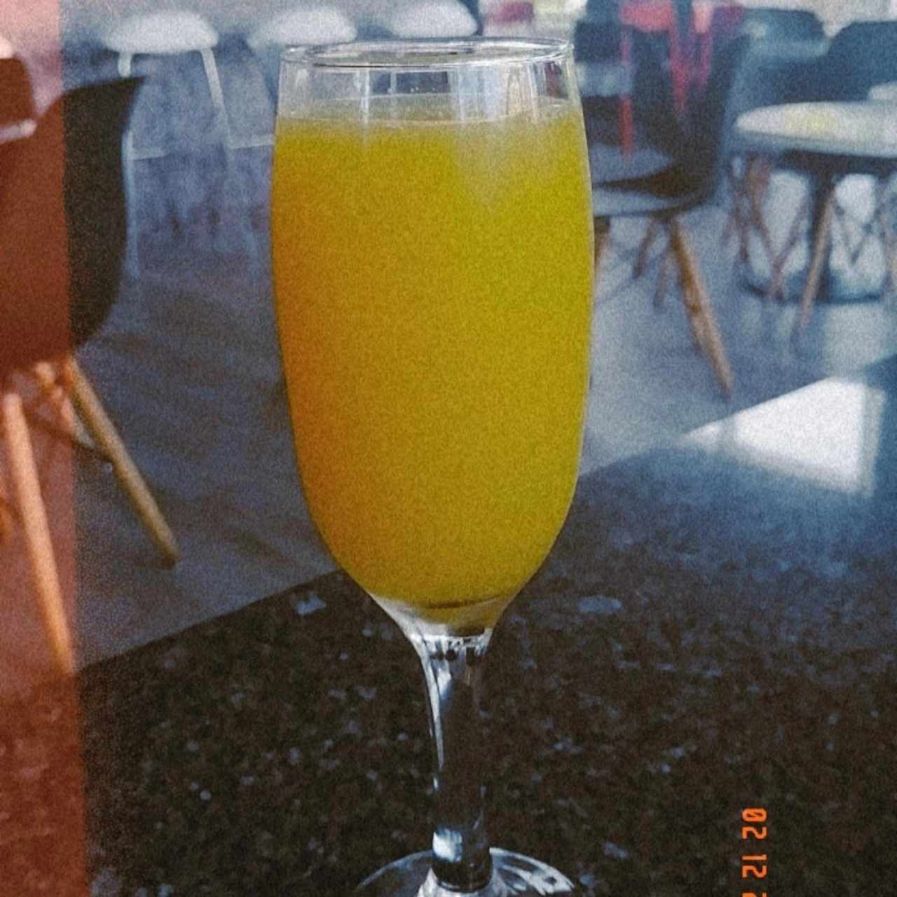 Mimosa 