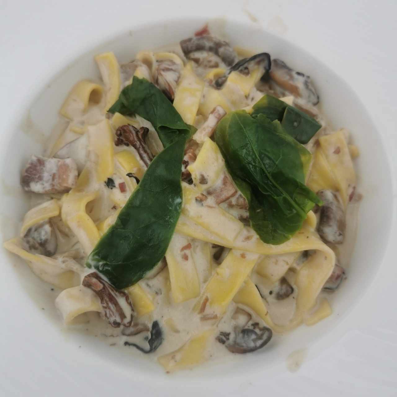 FETUCCINI DE SETAS