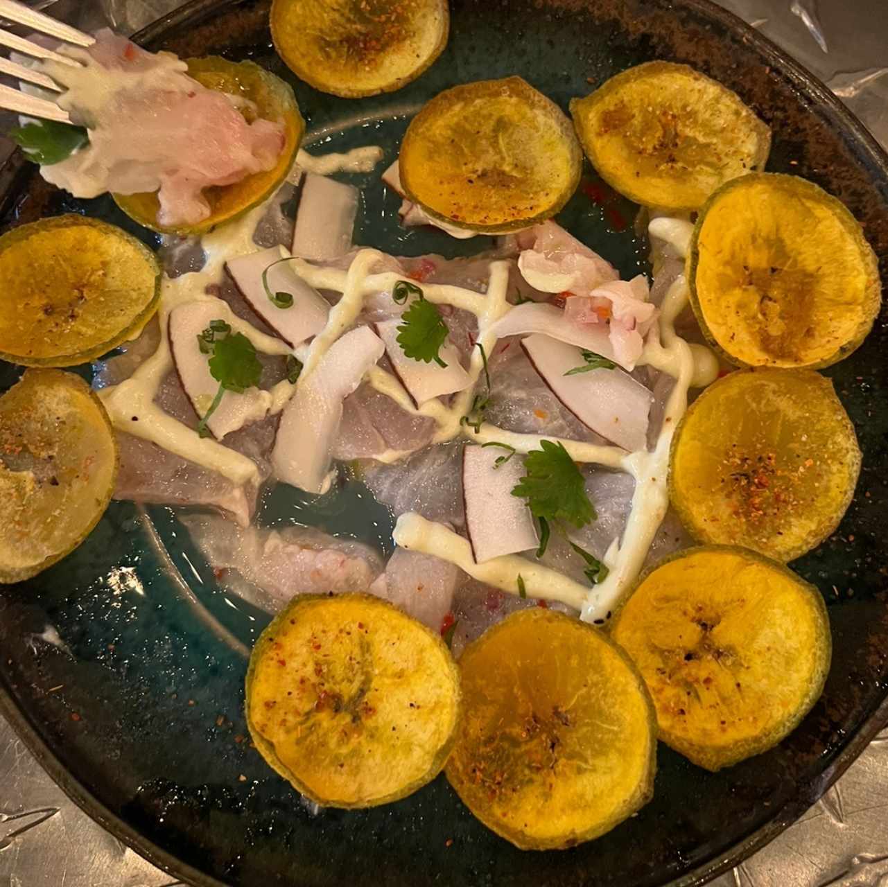 Ceviche acocado