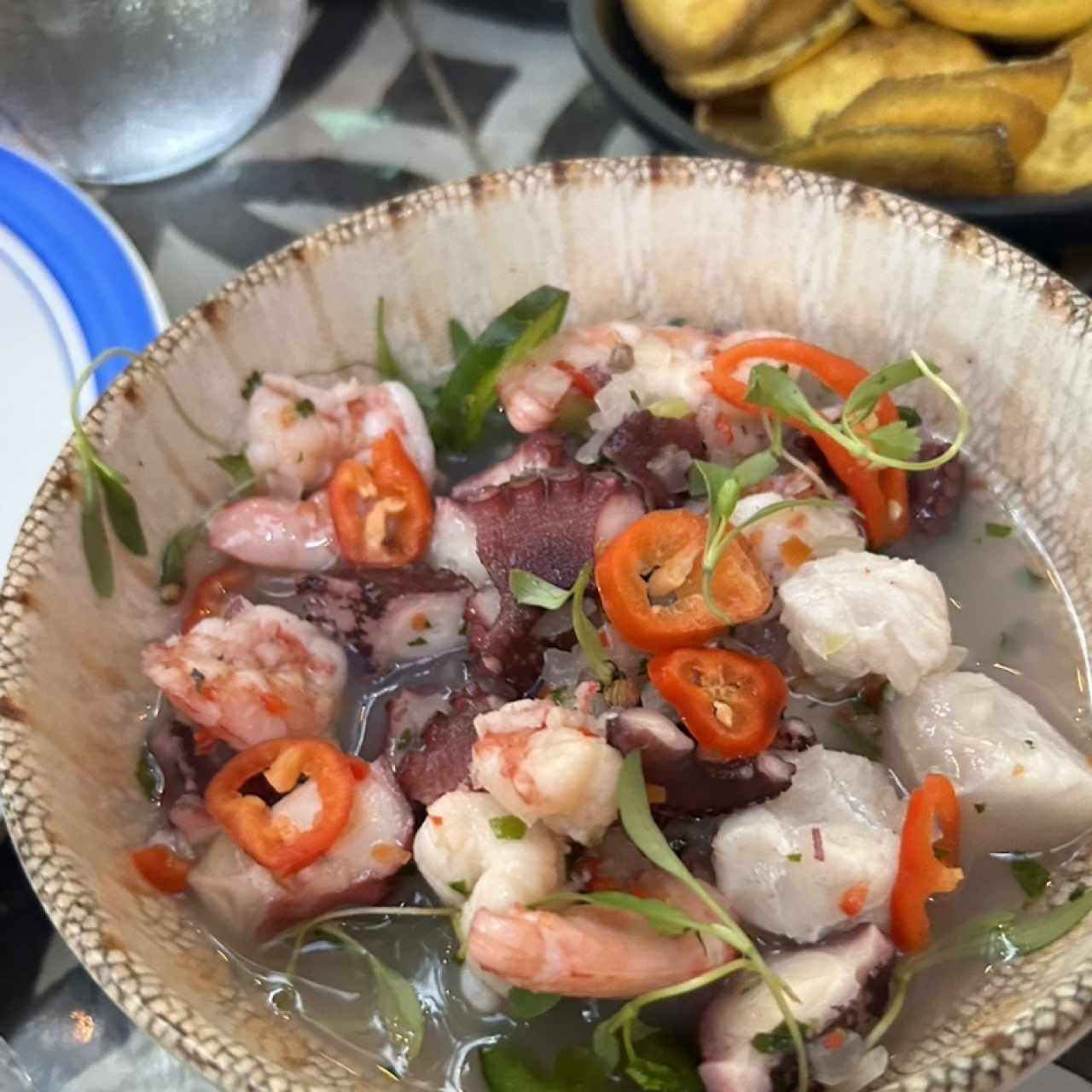 Ceviches - Ceviche de Combinación