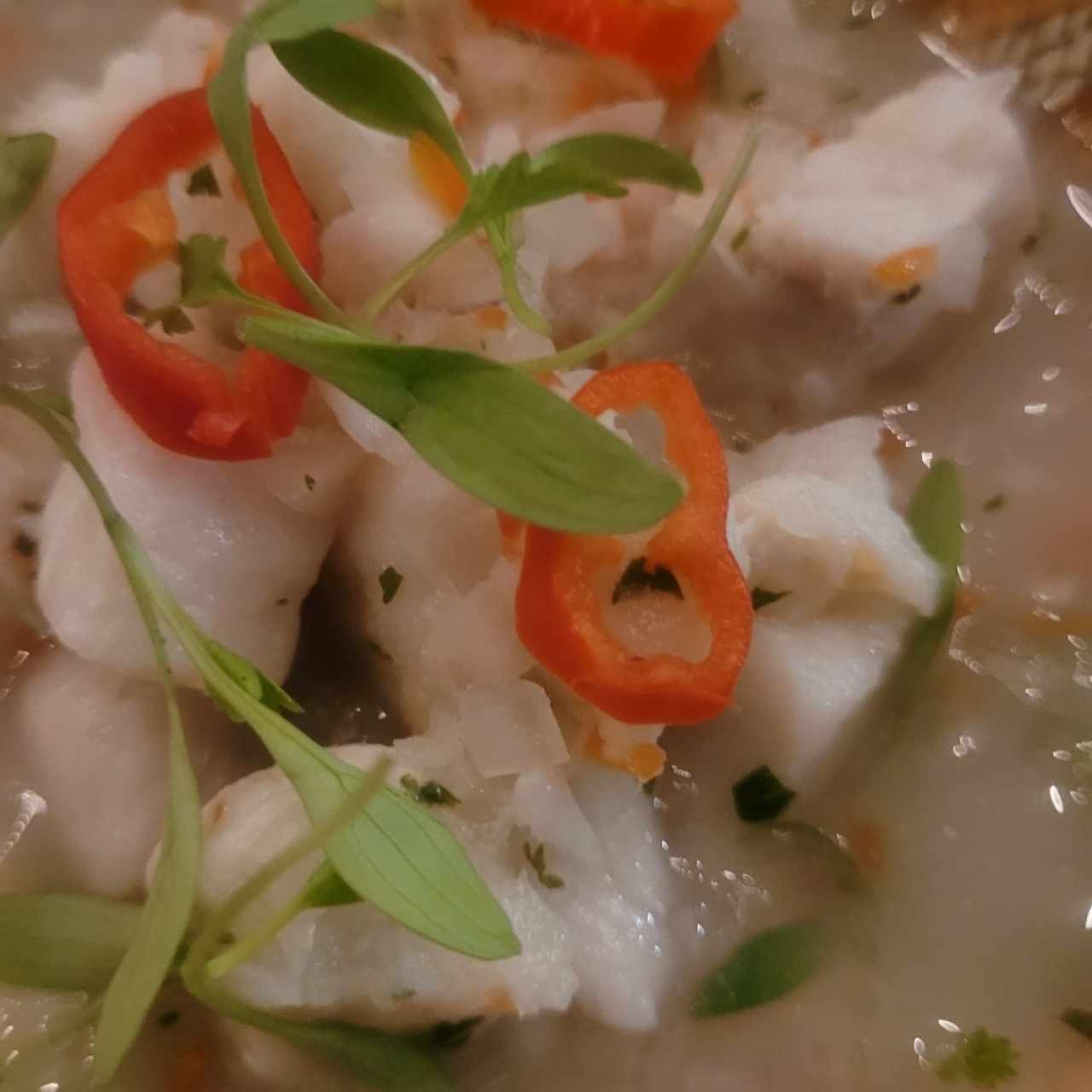 Ceviches - Ceviche de Pescado