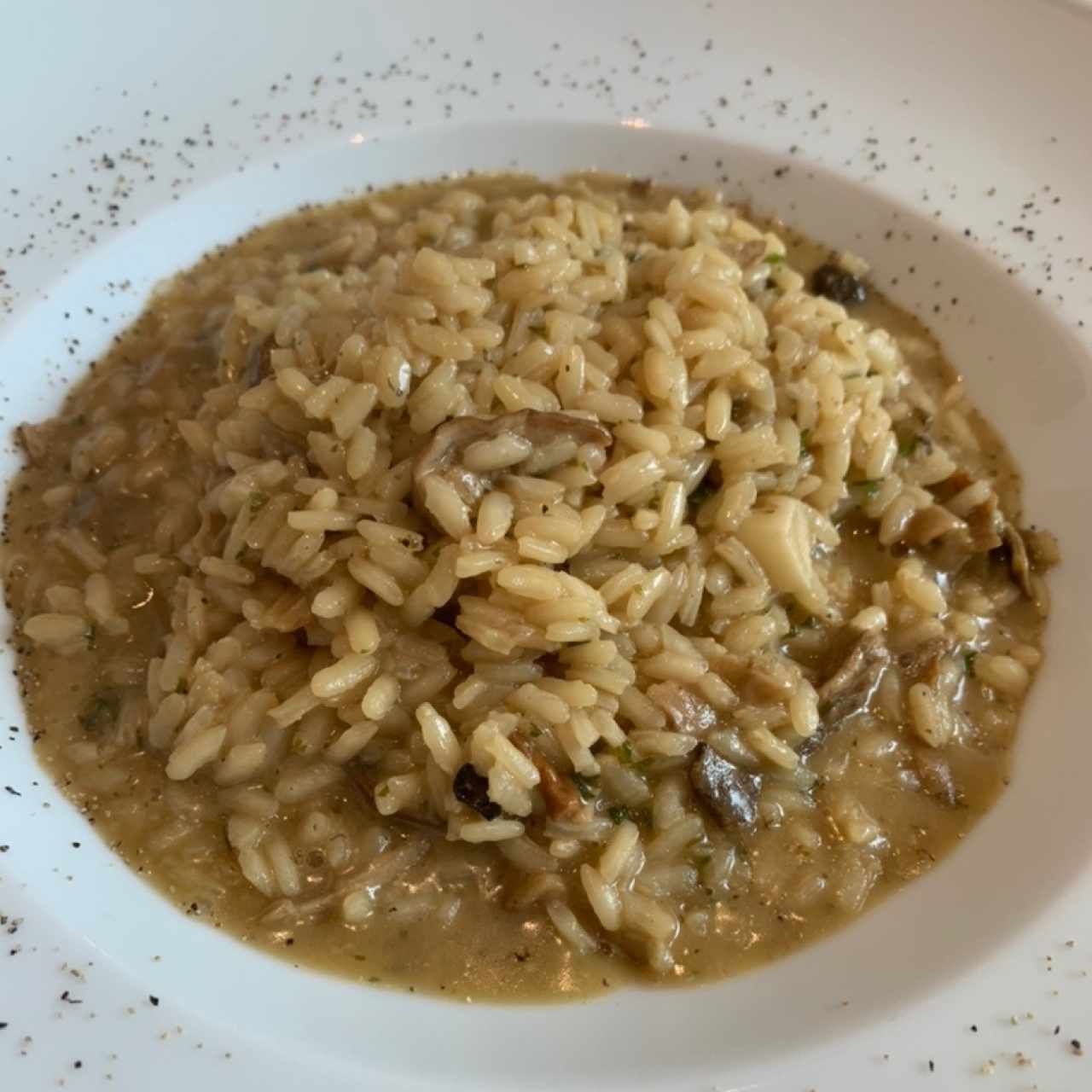 Risotto Funghi Porcini y Tarufo