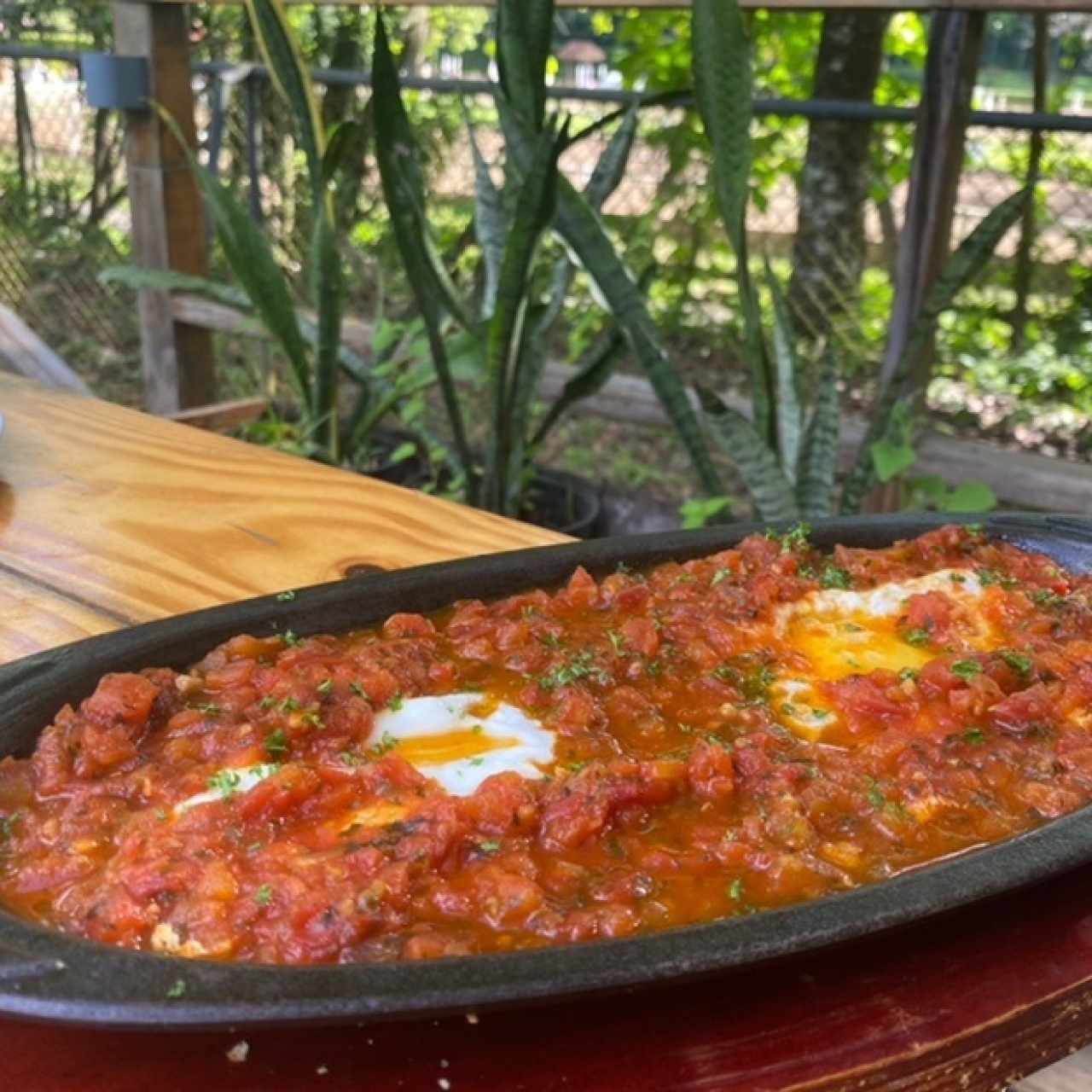 Shakshuka 