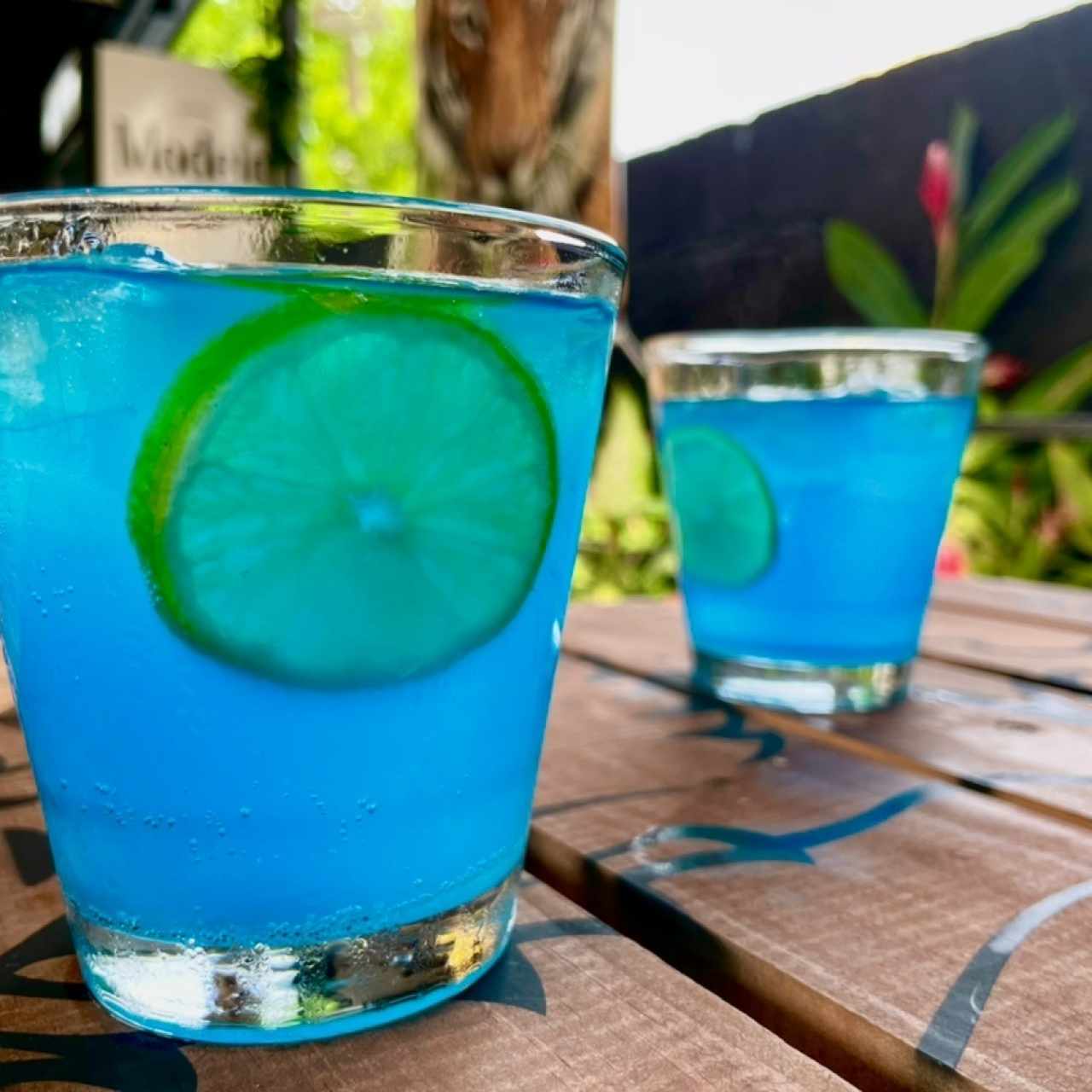 coctel BUENA VIBRA 