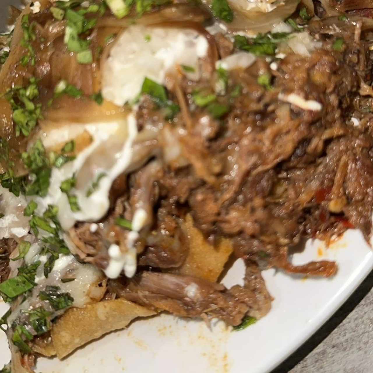 Birria - Nachos de birria