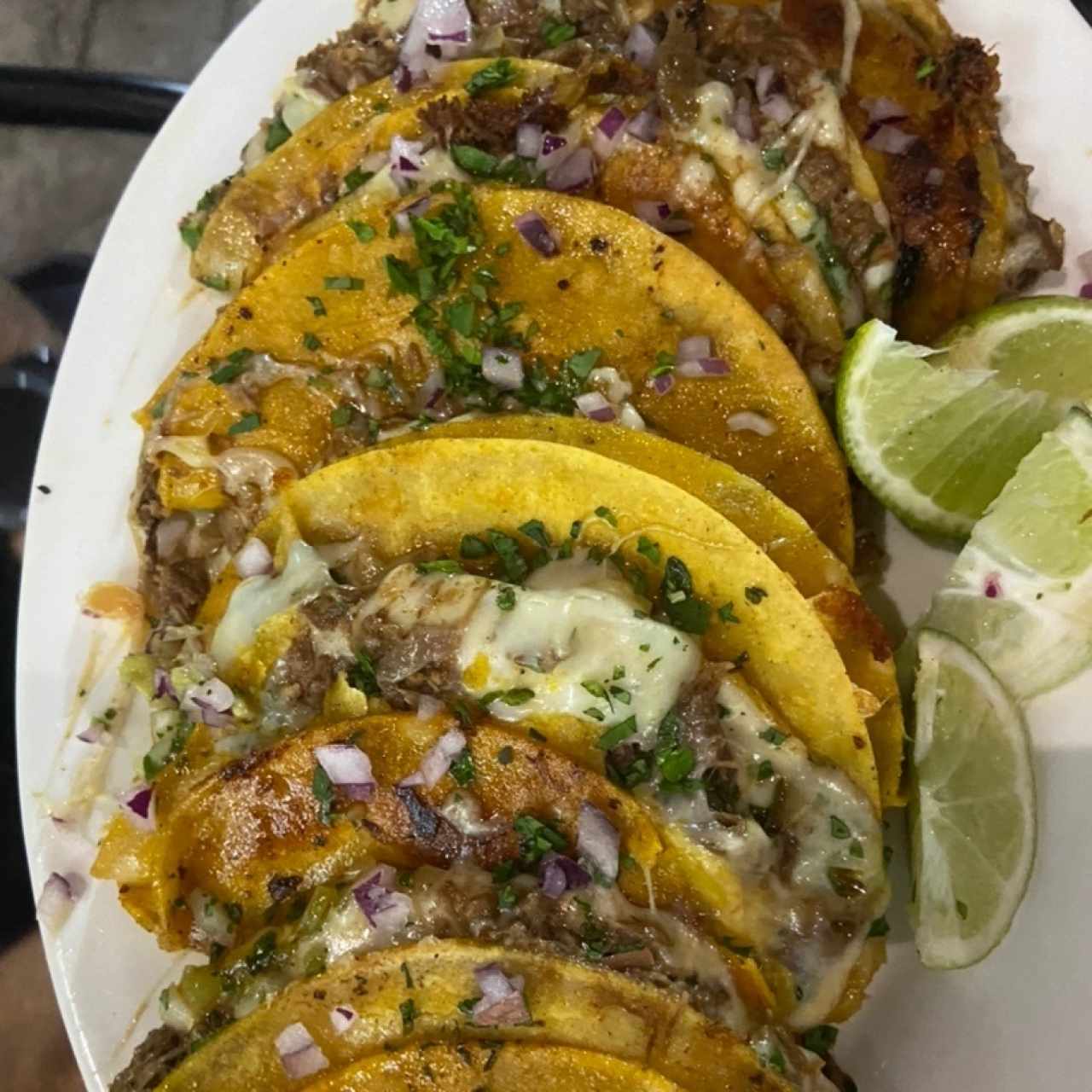 Quesa tacos de birria 