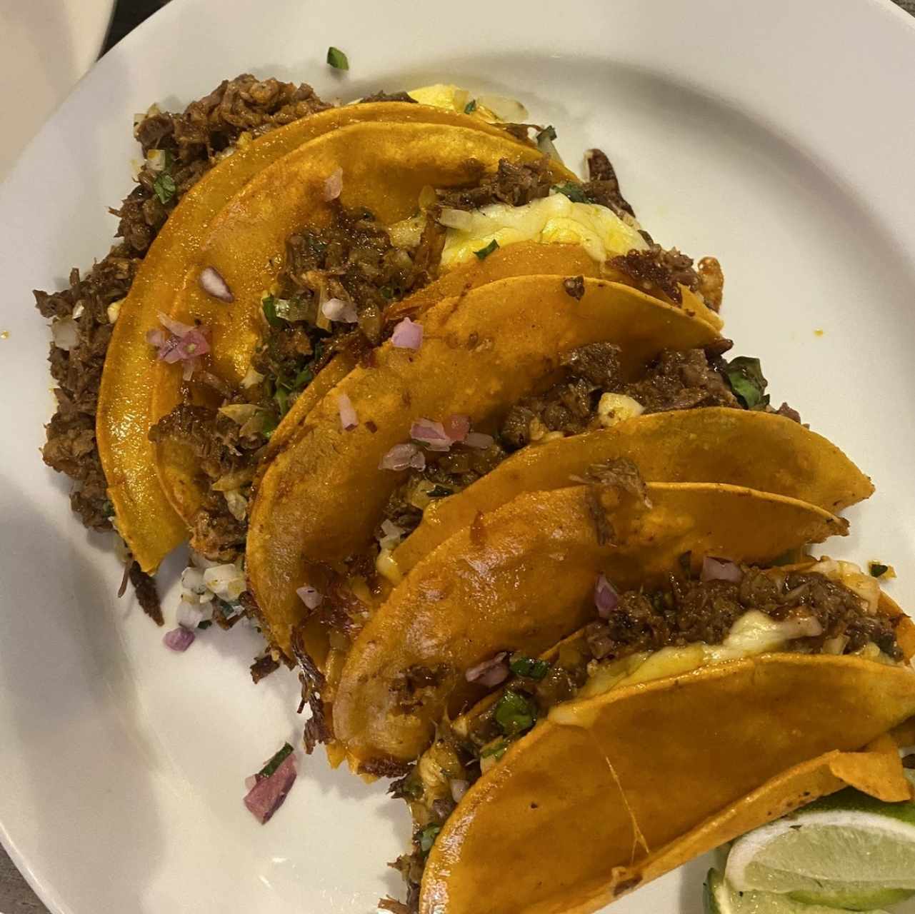 Tacos de birria 