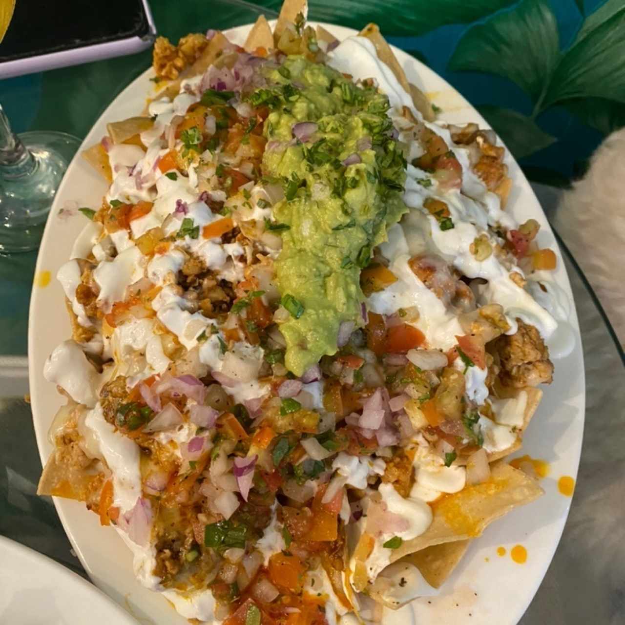 Nachos mixtos 