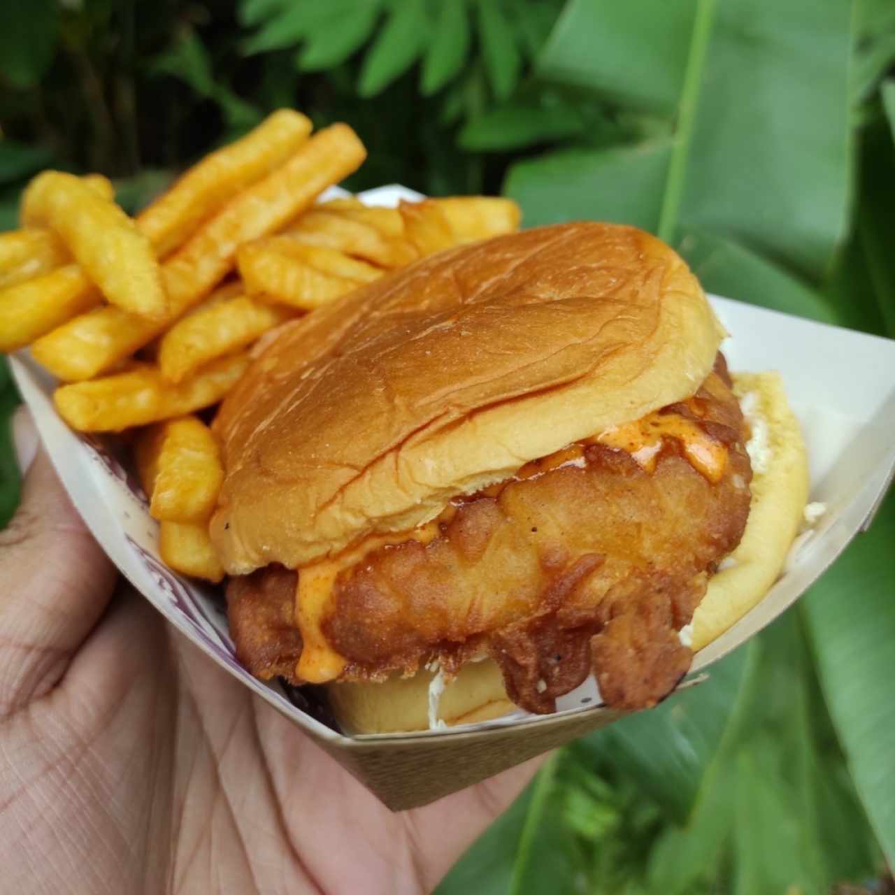 crispy chicken burguer 