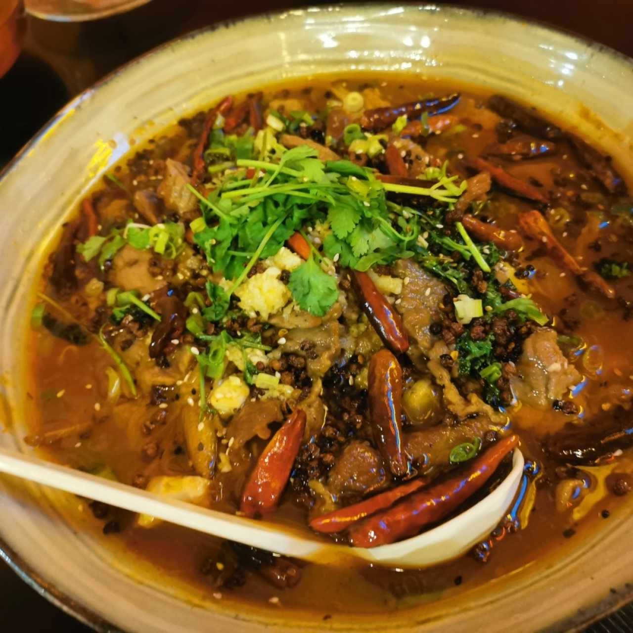 Carne Sichuan estilo caldo 🌶️😋💯👍