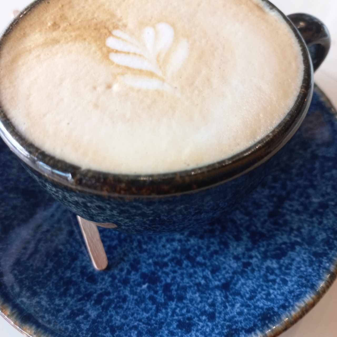 capuchino 