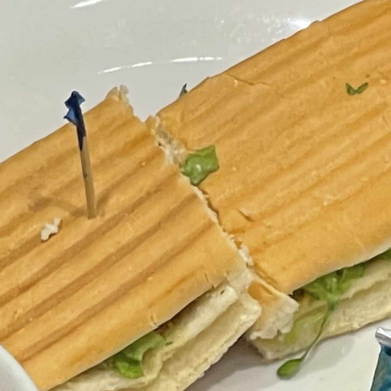 Panini