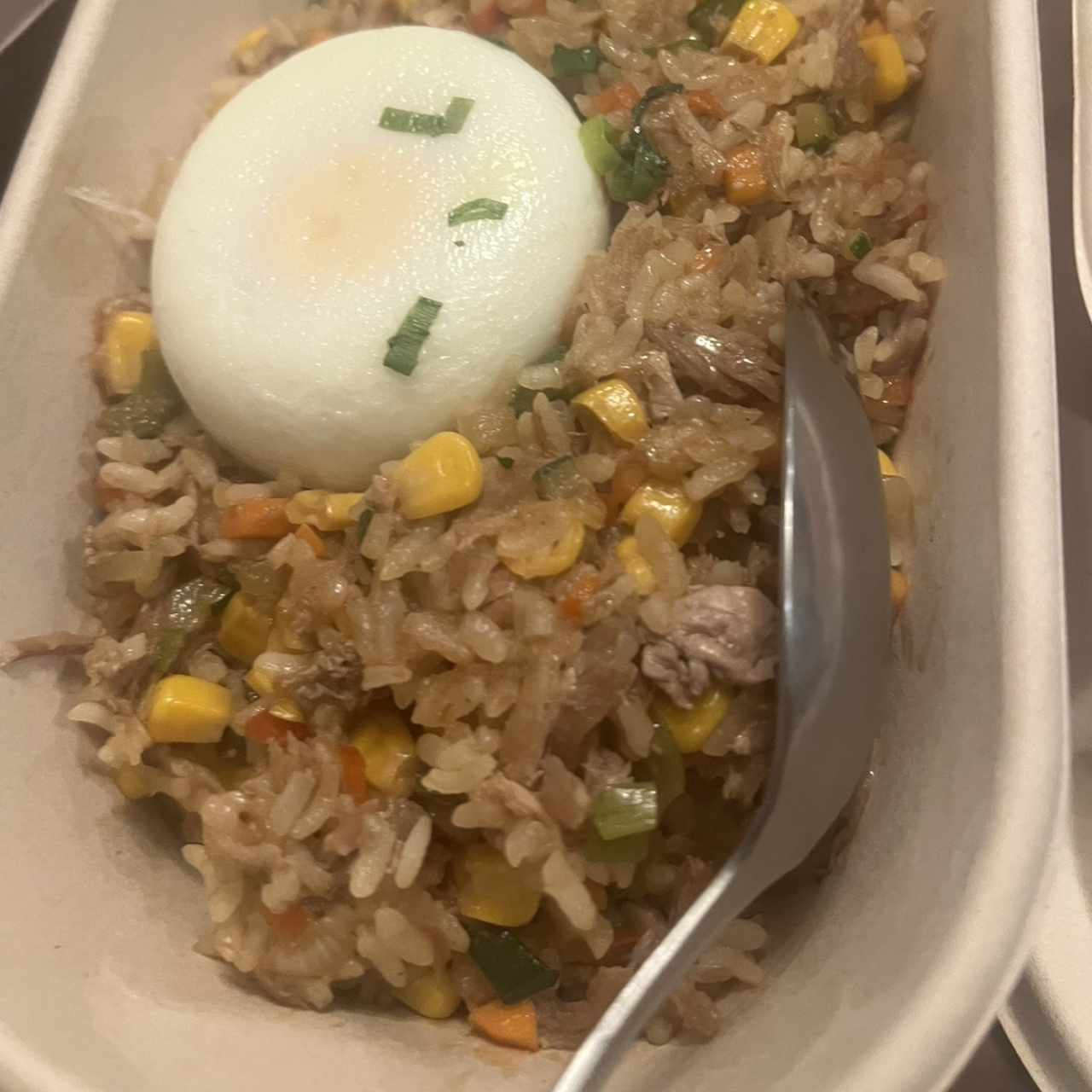 Arroz Cantonés con Cerdo