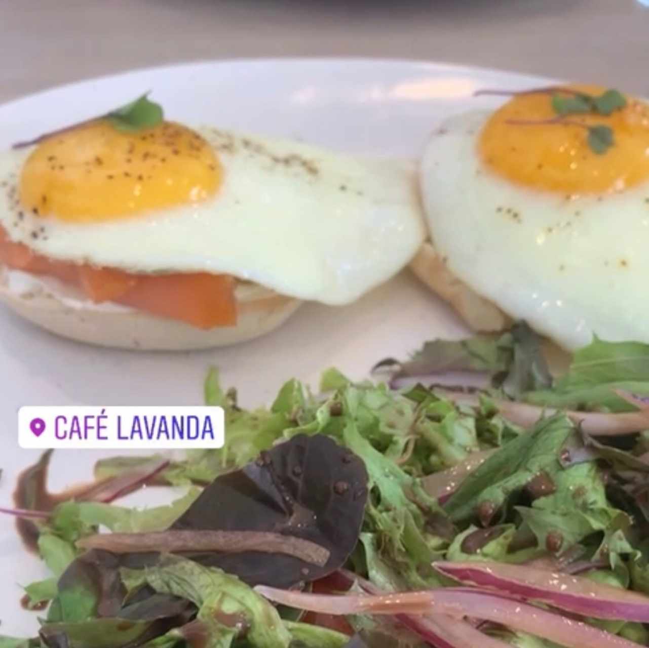 egg benedict