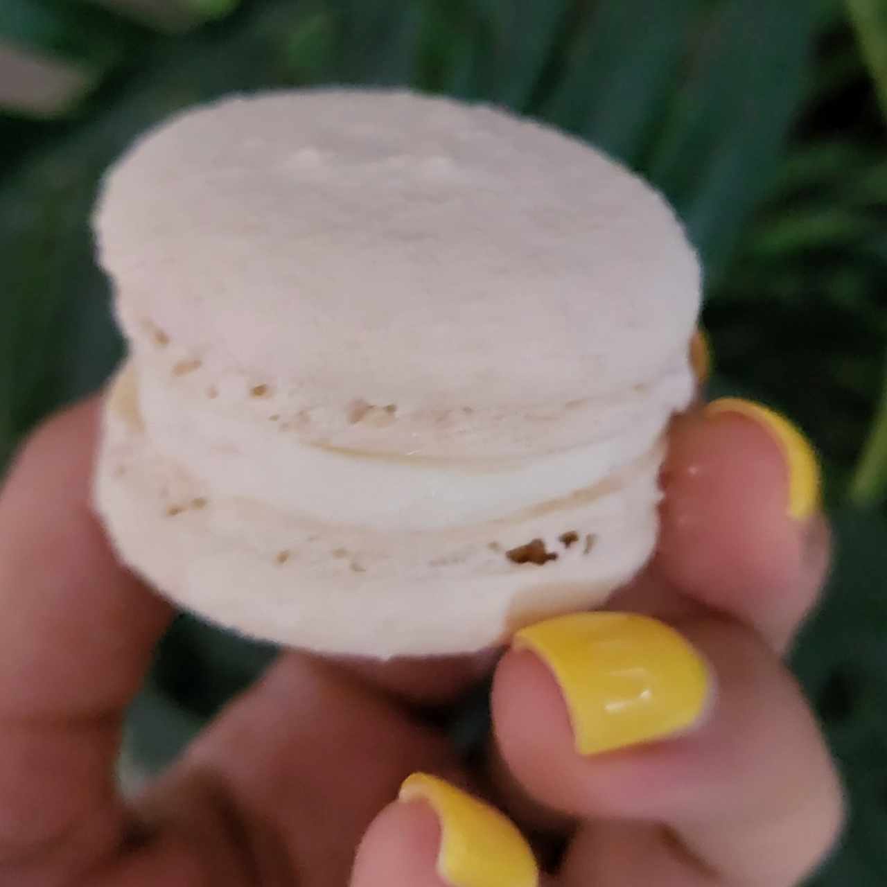 Macarons