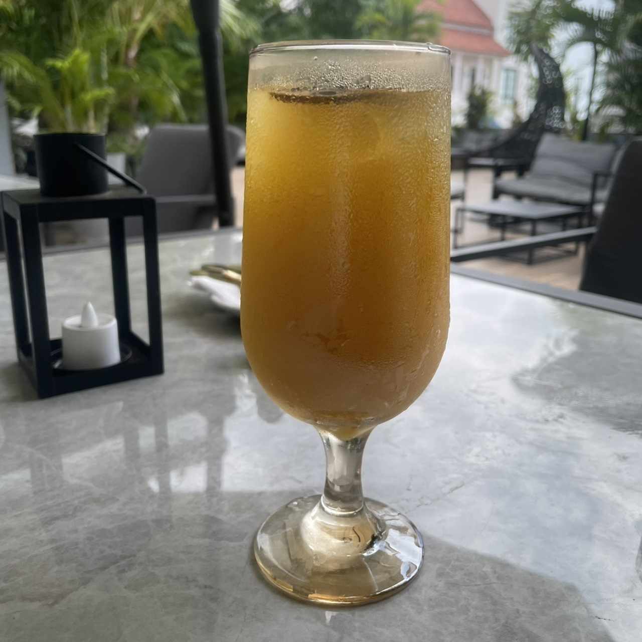 Mimosa